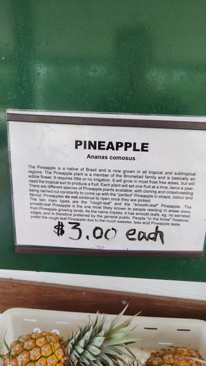 Fresh fruit they sold at Frosty Mango in Mutarnee