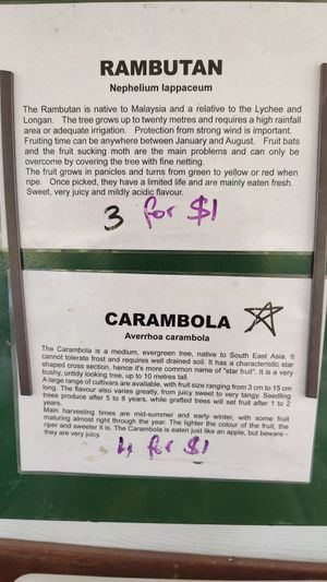 Fresh fruit they sold at Frosty Mango in Mutarnee