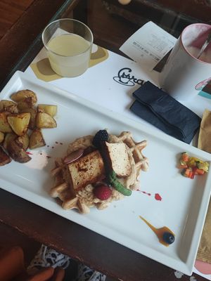  at Crazy Cat Café in Milan