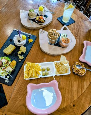 Vegan tapas at Crazy Cat Café in Milan