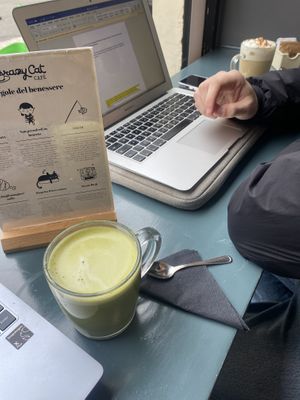   at Crazy Cat Café in Milan