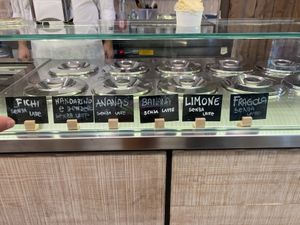 Vegan flavours of the day  at Gelateria Pescara La Fonte in Pescara