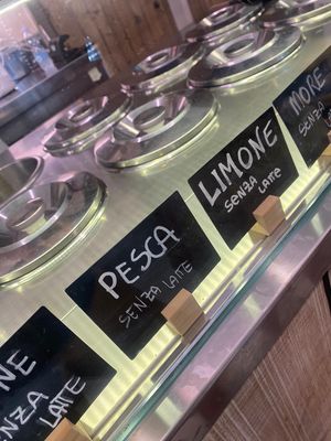 Some of the vegan options (without milk)  at Gelateria Pescara La Fonte in Pescara