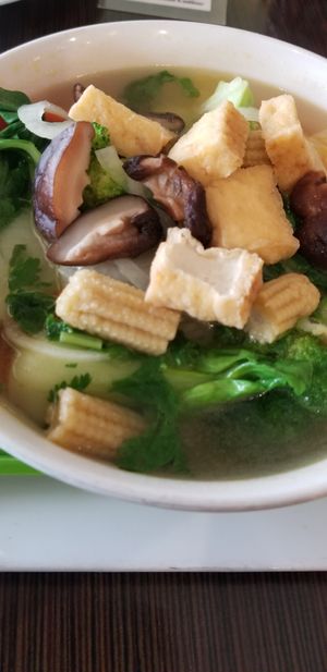 Veggie & tofu pho with rice noodles at Sprout's Springroll & Pho in Arlington