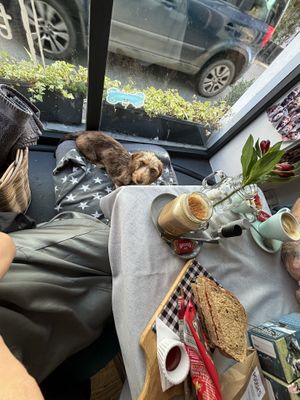   at Teacup Tearoom in Mevagissey