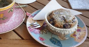 Blueberry muffin at Isabella Glutenfreie Patisserie - Oberkassel in Dusseldorf
