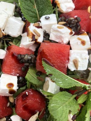   at Kaap Noord in De Cocksdorp