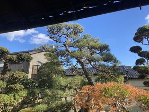   at Zen Vegan Cafe - 是好日 in Hikone