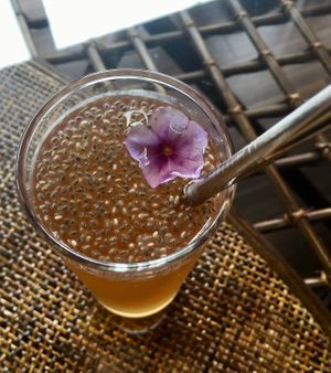 Kombucha with chia seeds at Zen Vegan Cafe - 是好日 in Hikone