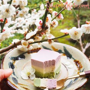 Japanese style raw cake in early Spring at Zen Vegan Cafe - 是好日 in Hikone