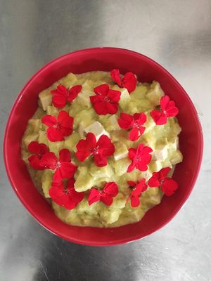 tofu at Oh Mio Bio in Turin