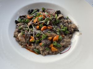 risotto  at La Palapa in Puerto Vallarta