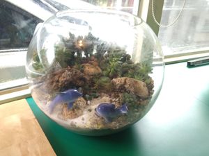 佈置 at Mǐ Tù Hǎo Shí - Mitoo Coffee in New Taipei City