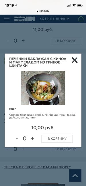 Vegan at Ronin in Minsk