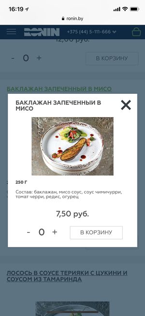 Vegan at Ronin in Minsk