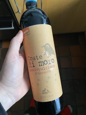 Vino at Vegan Tipples in Edinburgh