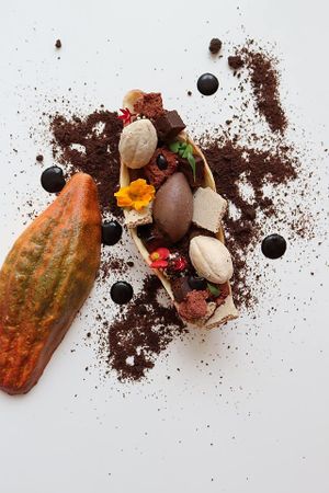 Chocolate at Xochi in Houston