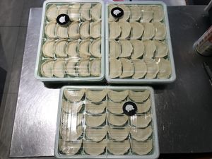 Fresh uncooked dumplings  at Eat Dumplings in Shanghai