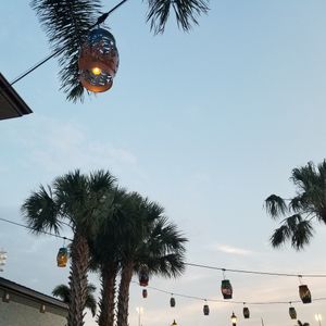  at Walt Disney World - Sebastian's Bistro in Lake Buena Vista