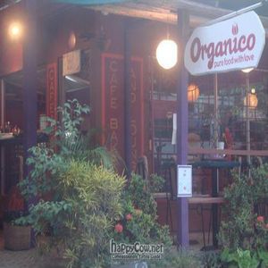  at Cafe Organico in Montezuma