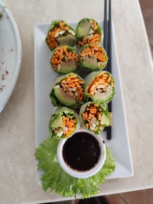 Spring Rolls w dipping sauce at Sano Banano in Montezuma