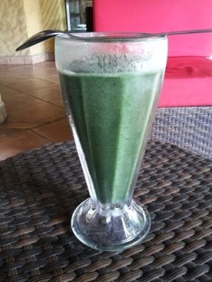 green nectar smoothie with spirulina. Yum! at Sano Banano in Montezuma