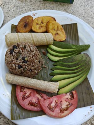 Vegan Tipico at Sano Banano in Montezuma