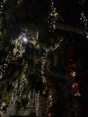   at Catch LA in West Hollywood