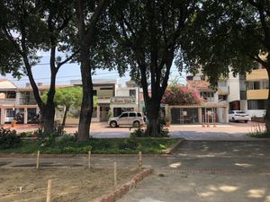 see it through the trees  at Buen Vivir in Cucuta