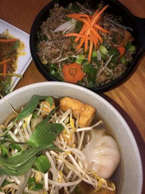 Vegan fried rice and vegan dumpling pho  at Saigon Soul in Ascot Vale