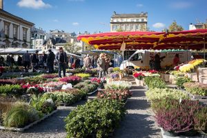 Plants at Maart um Knuedler in Luxembourg City
