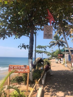 Signs at Holy Rabbit in Varkala