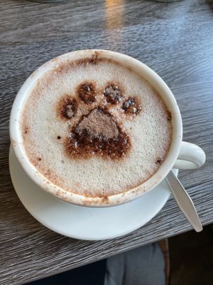 Kakao   at Katzentempel - Leipzig Ost in Leipzig