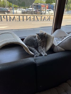   at Katzentempel - Leipzig Ost in Leipzig