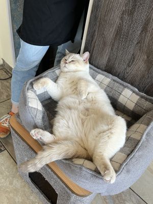   at Katzentempel - Leipzig Ost in Leipzig