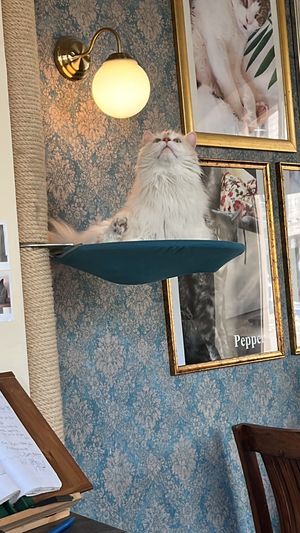   at Katzentempel - Leipzig Ost in Leipzig