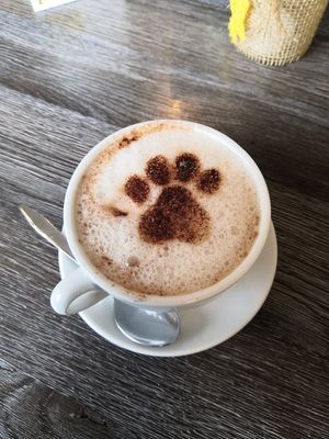  at Katzentempel - Leipzig Ost in Leipzig