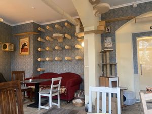 Inside   at Katzentempel - Leipzig Ost in Leipzig