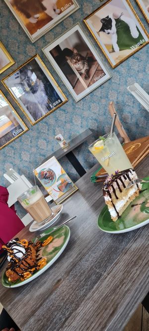 Carrot cake, iced latte, Tiramizu and lemon ginger lemonade at Katzentempel - Leipzig Ost in Leipzig