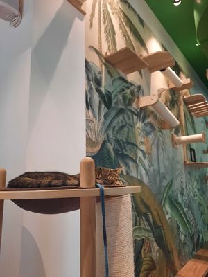  at Katzentempel - Leipzig Ost in Leipzig