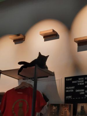  at Katzentempel - Leipzig Ost in Leipzig