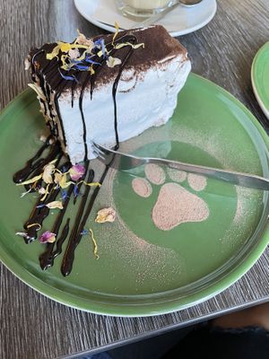 tirameowsu  at Katzentempel - Leipzig Ost in Leipzig