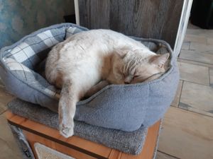  at Katzentempel - Leipzig Ost in Leipzig