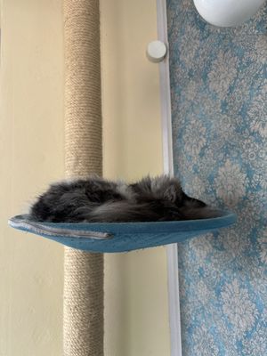   at Katzentempel - Leipzig Ost in Leipzig