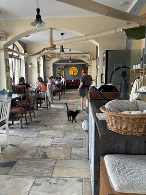   at Katzentempel - Leipzig Ost in Leipzig