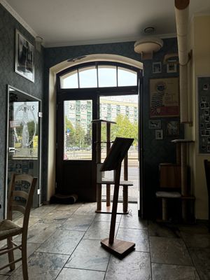   at Katzentempel - Leipzig Ost in Leipzig