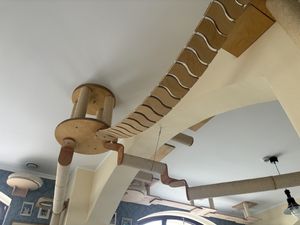   at Katzentempel - Leipzig Ost in Leipzig