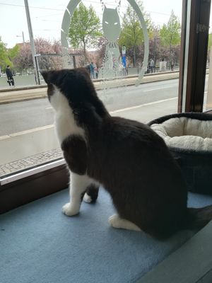  at Katzentempel - Leipzig Ost in Leipzig