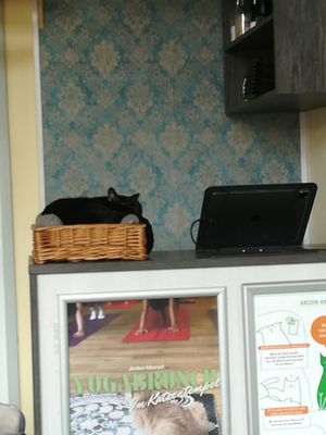  at Katzentempel - Leipzig Ost in Leipzig