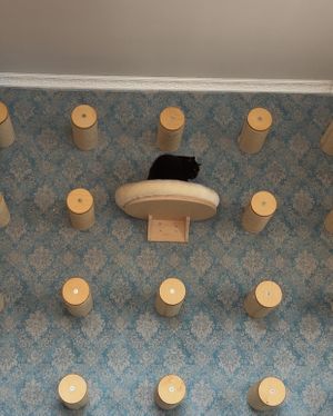   at Katzentempel - Leipzig Ost in Leipzig